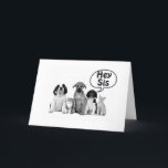 GRATTIS PÅ FÖDELSEDAGEN **SISTER** BÄSTA PÅ JUST N KORT<br><div class="desc">DET ÄR SÅ ATT HUNDAR FÖRVÄNTAS SKICKA DET HÄR KORTET TILL "DIN SISTER" OCH SÄGA "GRATTIS PÅ FÖDELSEDAGEN!" I SEKUND KAN NI ÄNDRA DET TILL "ALLA NI ÖNSKAR" ÄVEN OM JAG KOMMER ATT SKAPAR MER I DENNA STORA FÖR BRODER OCH PAPPA OCH MAMMA!!!!! TACK FÖR ATT JAG STOPPADE ETT AV...</div>