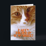 grattis på födelsedagen Sister - Sött katt Kort<br><div class="desc">Önska din syster "Grattis på födelsedagen",  med det här söta kortet från min "Kattunge Koolness"-samling,  med en vacker orange och vit kattunge. Insidan kan behållas som den är,  eller personlig av dig för den extra beröringen. foto efter designer.</div>