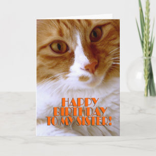 Grattis på födelsedagen Sister - Sött katt Kort