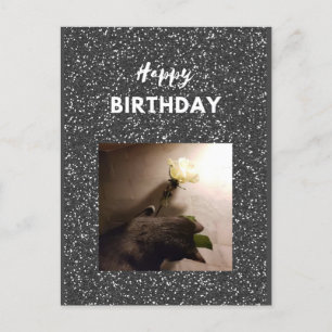 Grattis på födelsedagen. Smokingkatt med en ros. Vykort