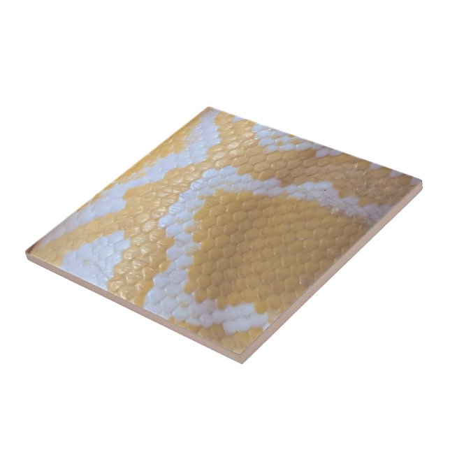 Grattis på födelsedagen Snake Kakelplatta (Sidan)