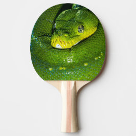 Grattis på födelsedagen Snake Pingisracket