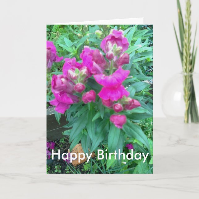 Grattis på födelsedagen. Snapdragon-blomman. Kort (Framsida)