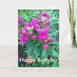 Grattis på födelsedagen. Snapdragon-blomman. Kort