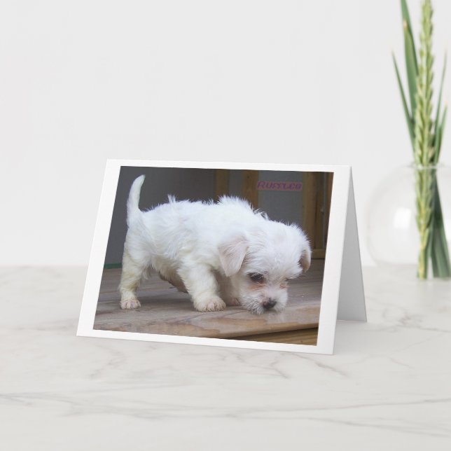 Grattis på födelsedagen Son Kort (Framsida)