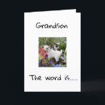 GRATTIS PÅ FÖDELSEDAGEN **SONSON** KORT<br><div class="desc">GRATTIS PÅ FÖDELSEDAGEN ***SONSON**** TACK FÖR ATT DU KOM TILL EN AV MINA ÅTTA BUTIKER!</div>