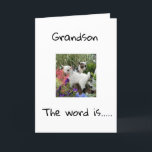 GRATTIS PÅ FÖDELSEDAGEN **SONSON** KORT<br><div class="desc">GRATTIS PÅ FÖDELSEDAGEN ***SONSON**** TACK FÖR ATT DU KOM TILL EN AV MINA ÅTTA BUTIKER!</div>