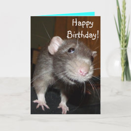 Grattis på födelsedagen! Söt blått råtta-kort Kort