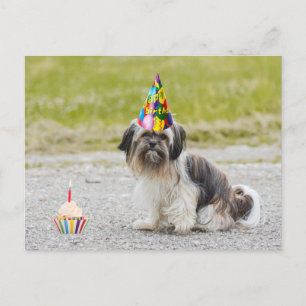 Grattis på födelsedagen söt hund med cupcakes vykort