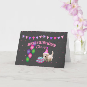Grattis på födelsedagen söt hund med kaka polka do kort