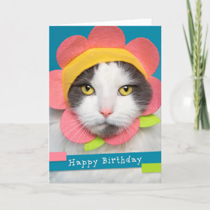 Grattis på födelsedagen Söt Katt i Flower Hat Humo Helgkort