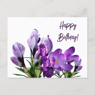 Grattis på födelsedagen söt lila crocus blommigt vykort
