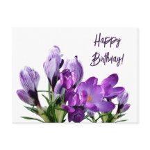 Grattis på födelsedagen söt lila  crocus blommigt