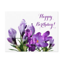 Grattis på födelsedagen söt lila  crocus blommigt