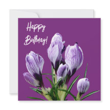 Grattis på födelsedagen söt lila  crocus underbar 