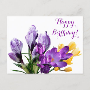 Grattis på födelsedagen söt lila gul krokus blommi vykort