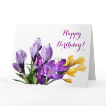 Grattis på födelsedagen söt lila gult  crocus blom