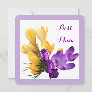 Grattis på födelsedagen söt lila gult crocus blom kort
