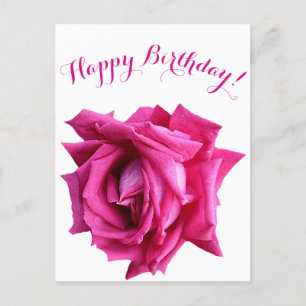 Grattis på födelsedagen söt shock rosa ro färg blo vykort