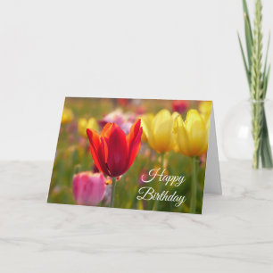 Grattis på födelsedagen Söt Tulips-kort Kort