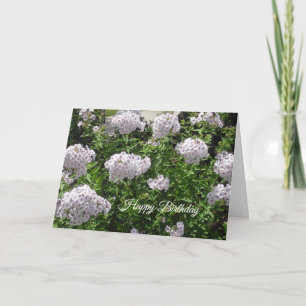 Grattis på födelsedagen Söt White och Lila blommor Kort