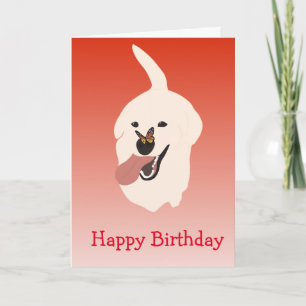 Grattis på födelsedagen söta labrador golden retri kort