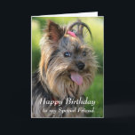Grattis på födelsedagen Speciell Friend Roligt Yor Kort<br><div class="desc">Grattis på födelsedagen Speciell Friend Roligt Yorkie,  Yorkshire Terrier Hund</div>