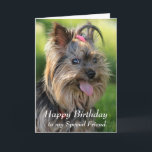 Grattis på födelsedagen Speciell Friend Roligt Yor Kort<br><div class="desc">Grattis på födelsedagen Speciell Friend Roligt Yorkie,  Yorkshire Terrier Hund</div>