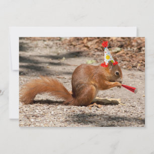 Grattis på födelsedagen Squirrel Inbjudningar