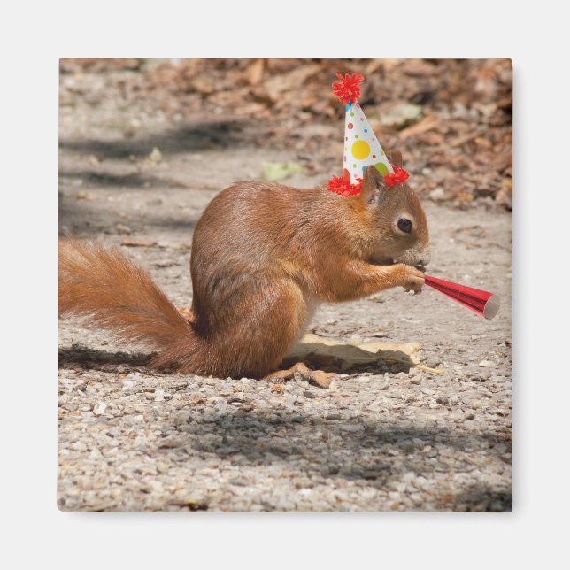 Grattis på födelsedagen Squirrel Magnet (Framsidan)