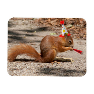 Grattis på födelsedagen Squirrel Magnet