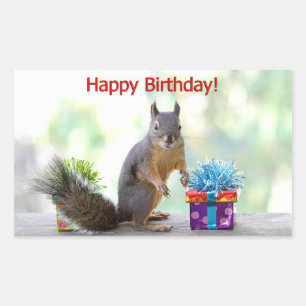 Grattis på födelsedagen Squirrel Rektangulärt Klistermärke