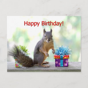 Grattis på födelsedagen Squirrel Vykort