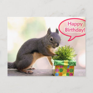 Grattis på födelsedagen Squirrel Vykort