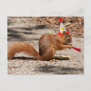 Grattis på födelsedagen Squirrel Vykort