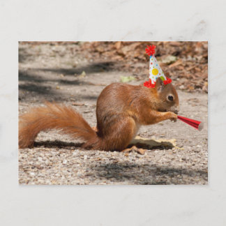 Grattis på födelsedagen Squirrel Vykort