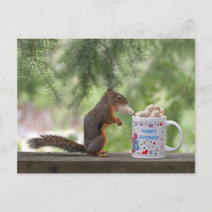 Grattis på födelsedagen Squirrel Vykort