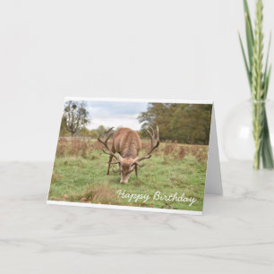 Grattis på födelsedagen - Stag i Skogen Kort