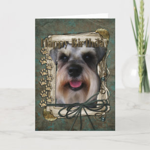 Grattis på födelsedagen - Stone Tassar - Schnauzer Kort
