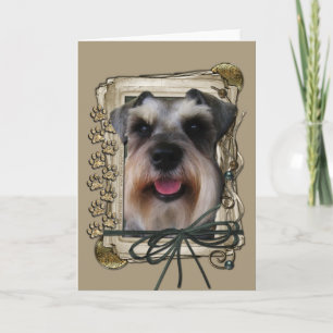 Grattis på födelsedagen - Stone Tassar - Schnauzer Kort