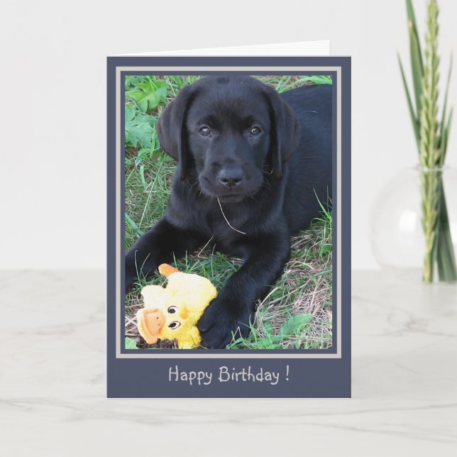 Grattis på födelsedagen Svart lab Cute Puppy Anka  Kort (Framsida)