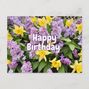 Grattis på födelsedagen Syrblommor och gula Narcis Vykort