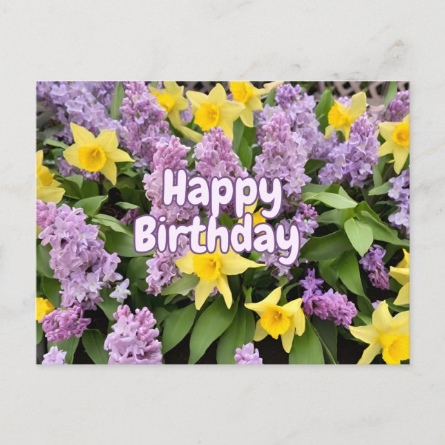 Grattis på födelsedagen Syrblommor och gula Narcis Vykort (Framsida)