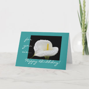 Grattis på födelsedagen syrran! kort