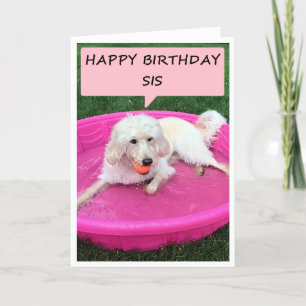 GRATTIS PÅ FÖDELSEDAGEN-SYRRAN-SWIMMING-HUND KOMME KORT