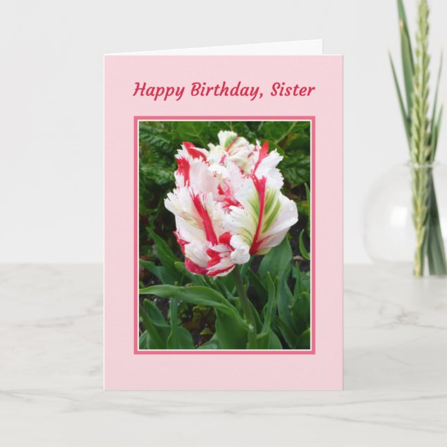 Grattis på födelsedagen, syster kort (Framsida)