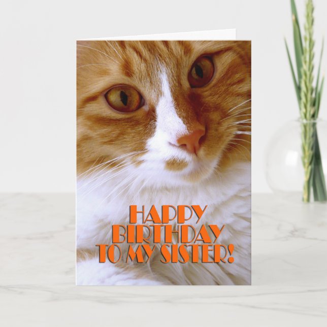 Grattis på födelsedagen syster - Söt katt Kort (Framsida)