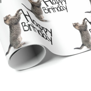 Grattis på födelsedagen Tabby katt roligt Presentpapper