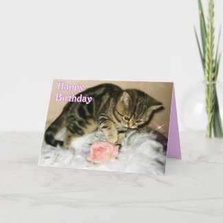 Grattis på födelsedagen - Tabby Kitten Birthday Ca Kort