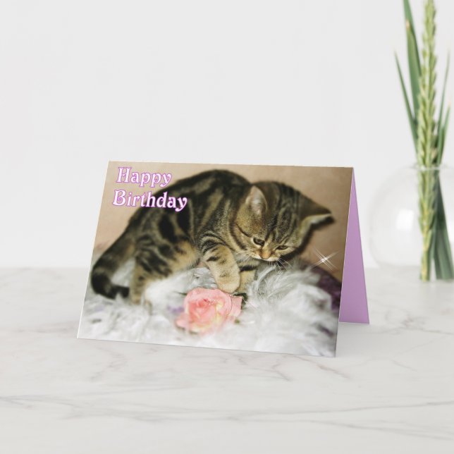 Grattis på födelsedagen - Tabby Kitten Birthday Ca Kort (Framsida)